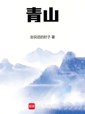 青山区举办房建项目观摩会